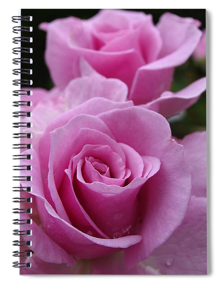 Rose Spiral Notebook featuring the photograph Double Take by Juergen Roth