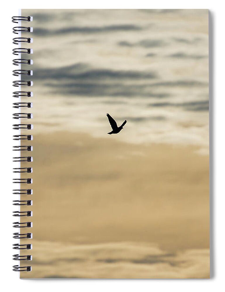 Dove Spiral Notebook featuring the photograph Dove in the Clouds by Douglas Killourie