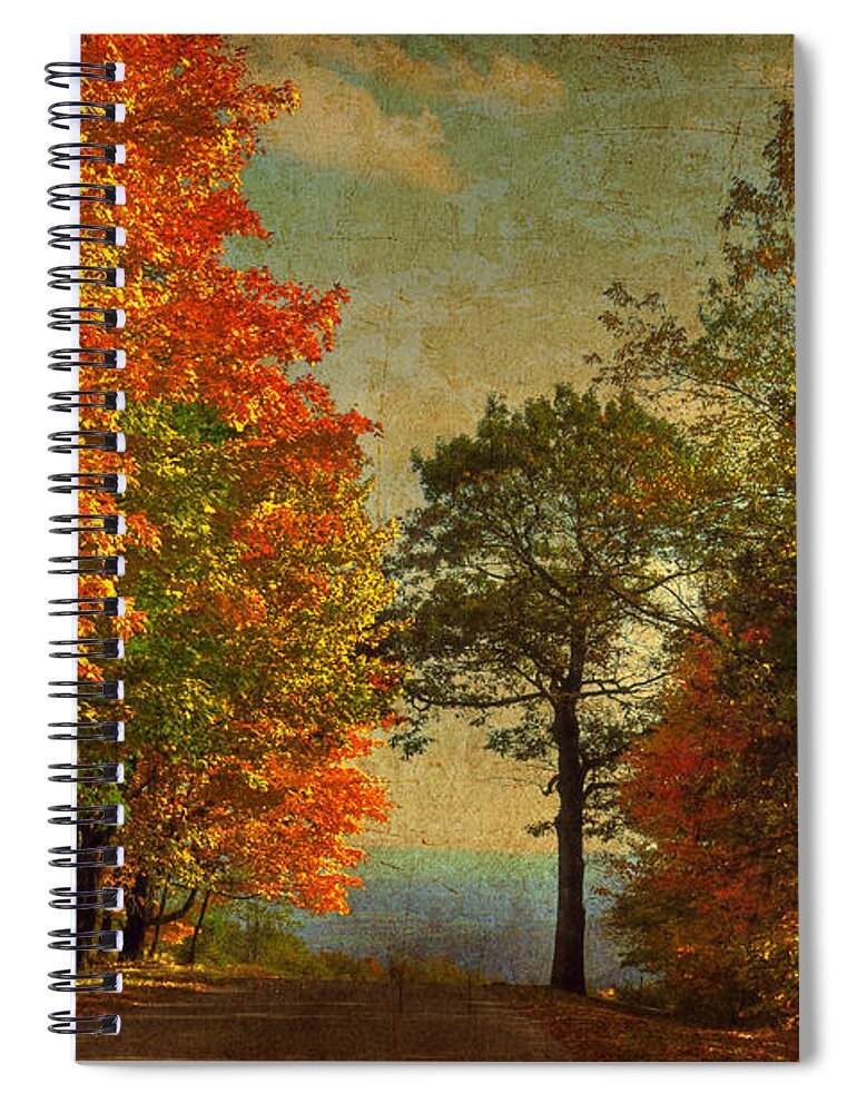 Trees Spiral Notebook featuring the photograph Down the Mountain by Lois Bryan
