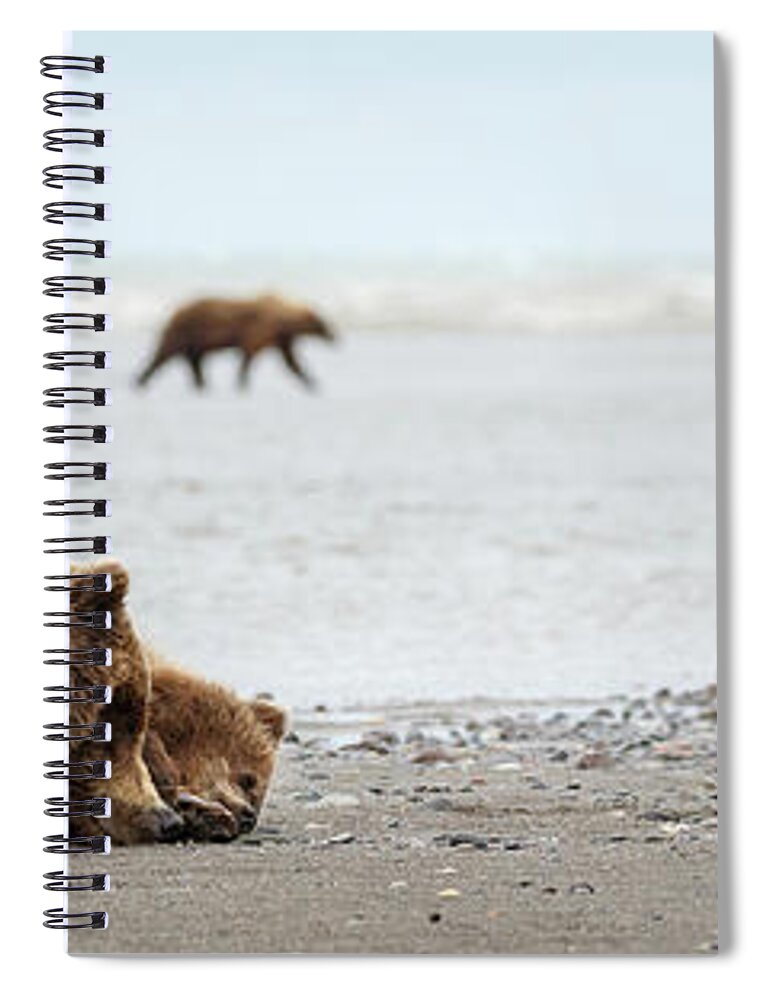 Lake Clark National Park Spiral Notebook featuring the photograph Down Time by Ann Skelton