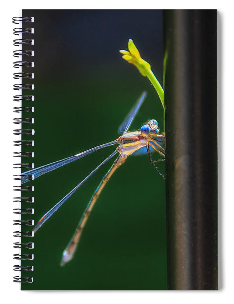 Dragon Fly Spiral Notebook featuring the photograph Dragon Fly by Juli Ellen