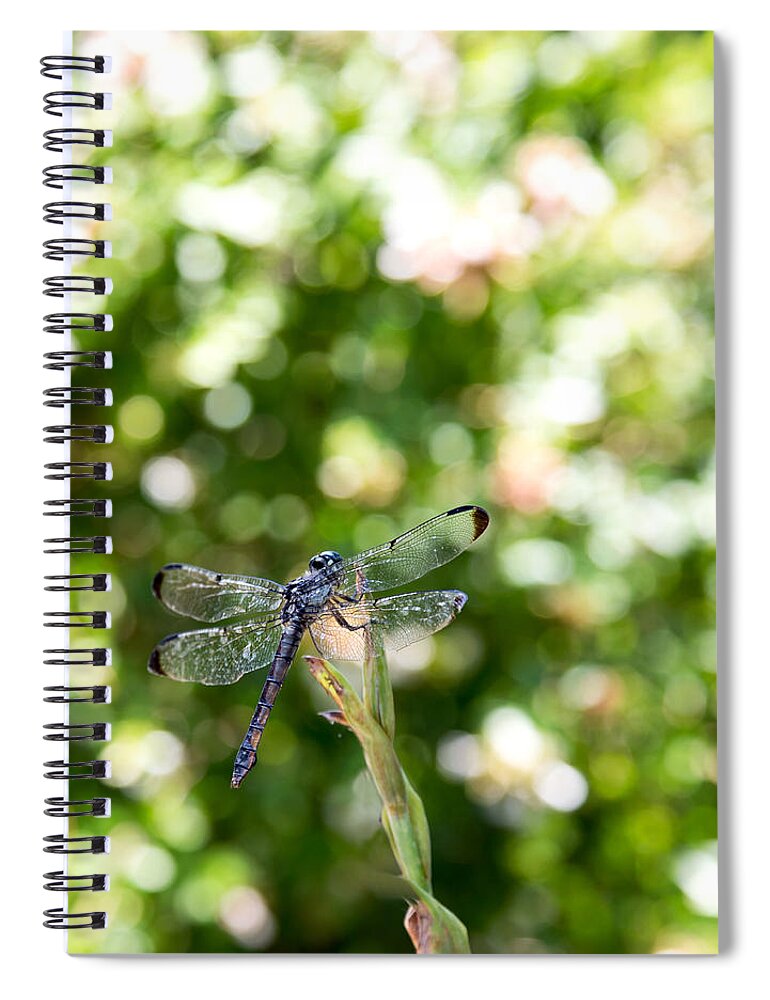 Dragonfly Spiral Notebook featuring the photograph Dragonfly-1 by Charles Hite