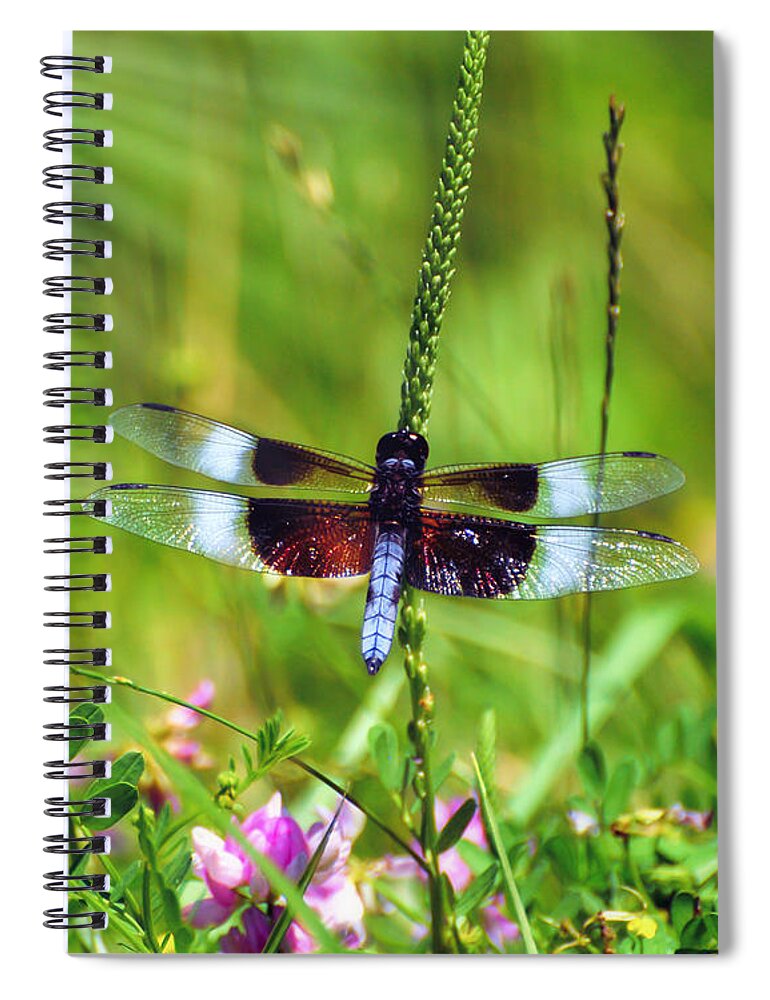 Dragonfly Spiral Notebook featuring the photograph Dragonfly Delight by Kerri Farley