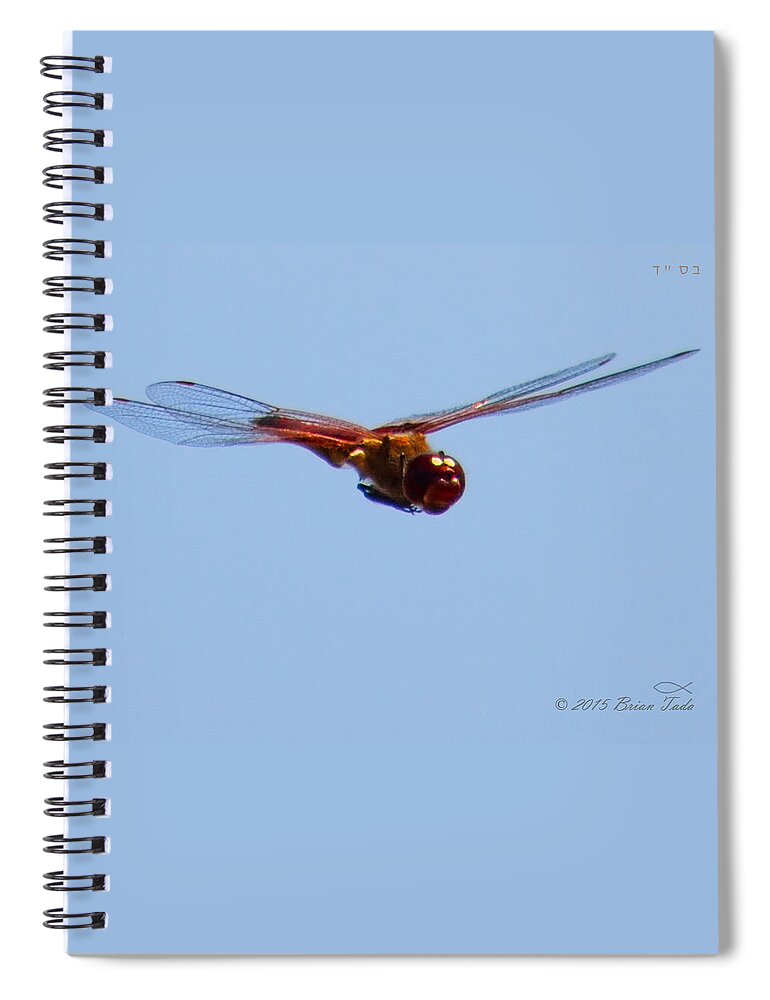 Dragonfly Spiral Notebook featuring the photograph Dragonfly In Flight Close Up by Brian Tada