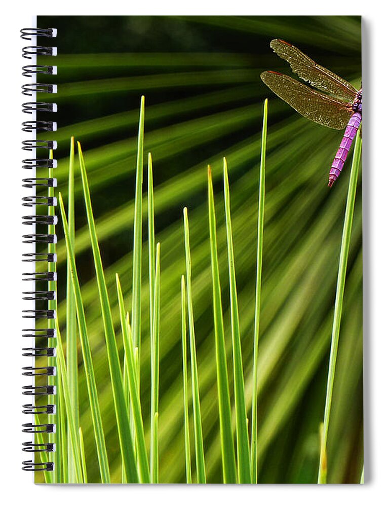 Dragonfly Spiral Notebook featuring the photograph Dragonfly by Xueling Zou