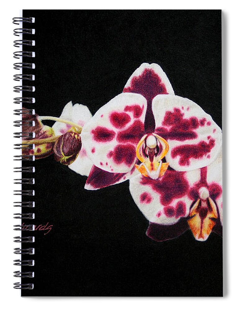 Color Pencil Spiral Notebook featuring the drawing Drawing of Polka Dot Moths by Marna Edwards Flavell