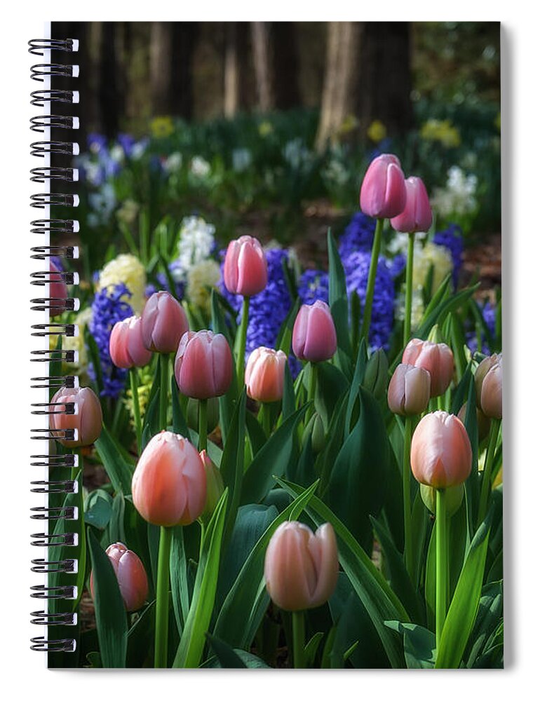 Dream Spiral Notebook featuring the photograph Dream Garden by James Barber