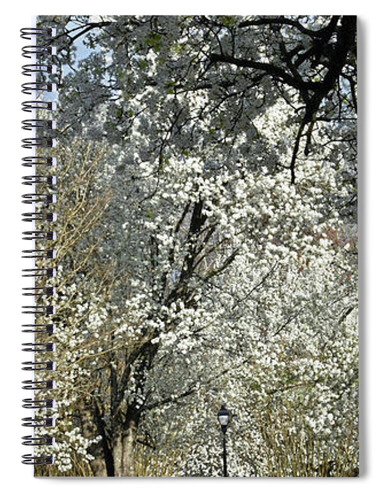 Spring Spiral Notebook featuring the photograph Dreamin' Of A White Spring No.2 by Lydia Holly