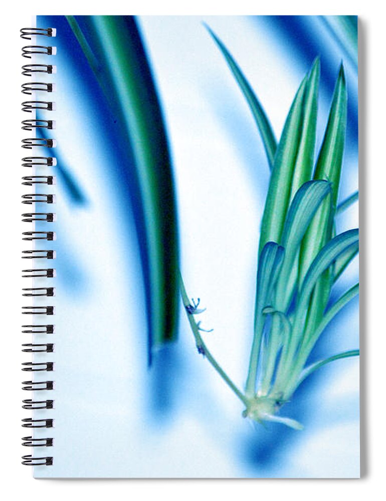 Dreaming Abstract Today Spiral Notebook featuring the photograph Dreaming abstract today by Susanne Van Hulst