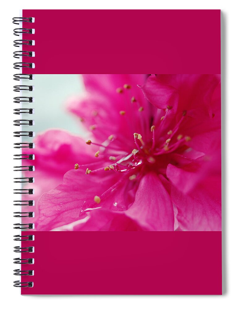 Cherry Blossom Spiral Notebook featuring the photograph Dreaming in Pink by Yuka Kato