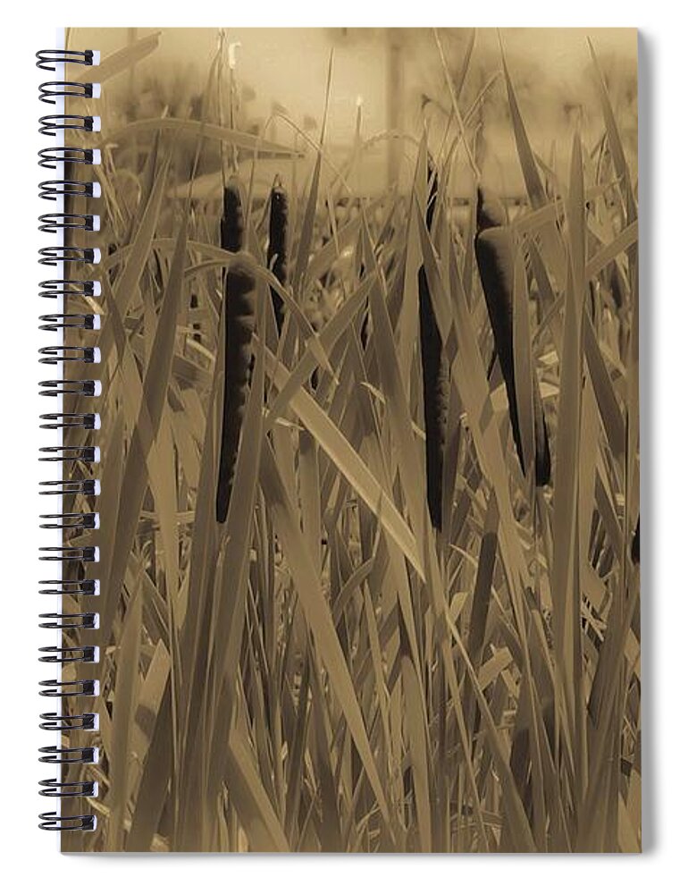 Cattails Spiral Notebook featuring the photograph Dreaming of Cattails by DigiArt Diaries by Vicky B Fuller