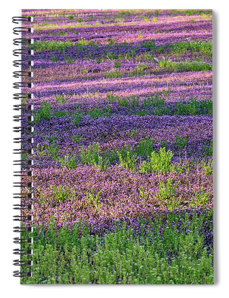 Spring Spiral Notebook featuring the photograph Dreaming of France by Holly Ross