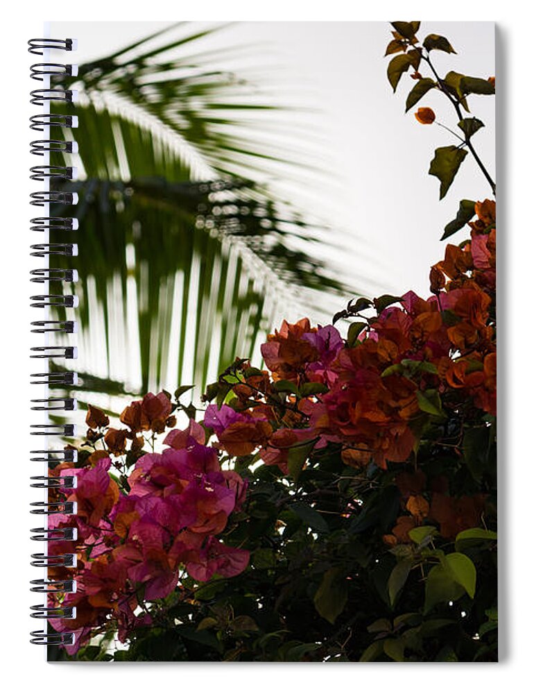 Georgia Mizuleva Spiral Notebook featuring the photograph Dreaming of Tropical Gardens - Bougainvilleas and Palm Trees by Georgia Mizuleva