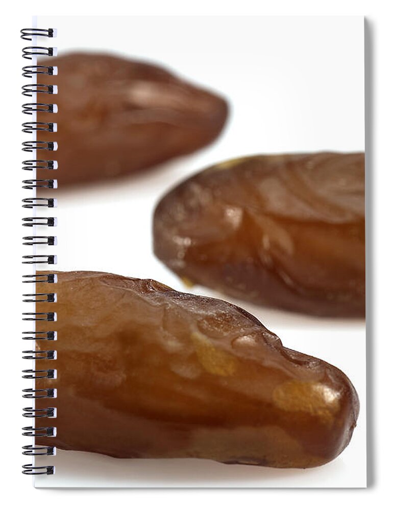 Botany Spiral Notebook featuring the photograph Dried Dates Phoenix Dactylifera by Gerard Lacz