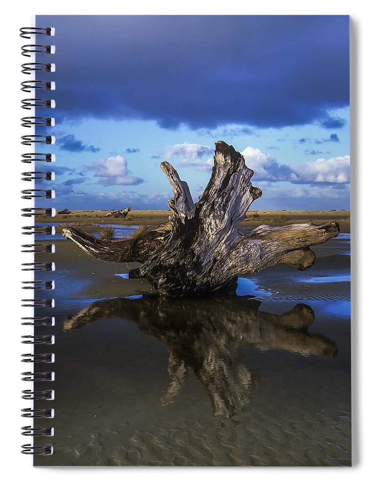 Beaches Spiral Notebook featuring the photograph Driftwood and Reflection by Robert Potts