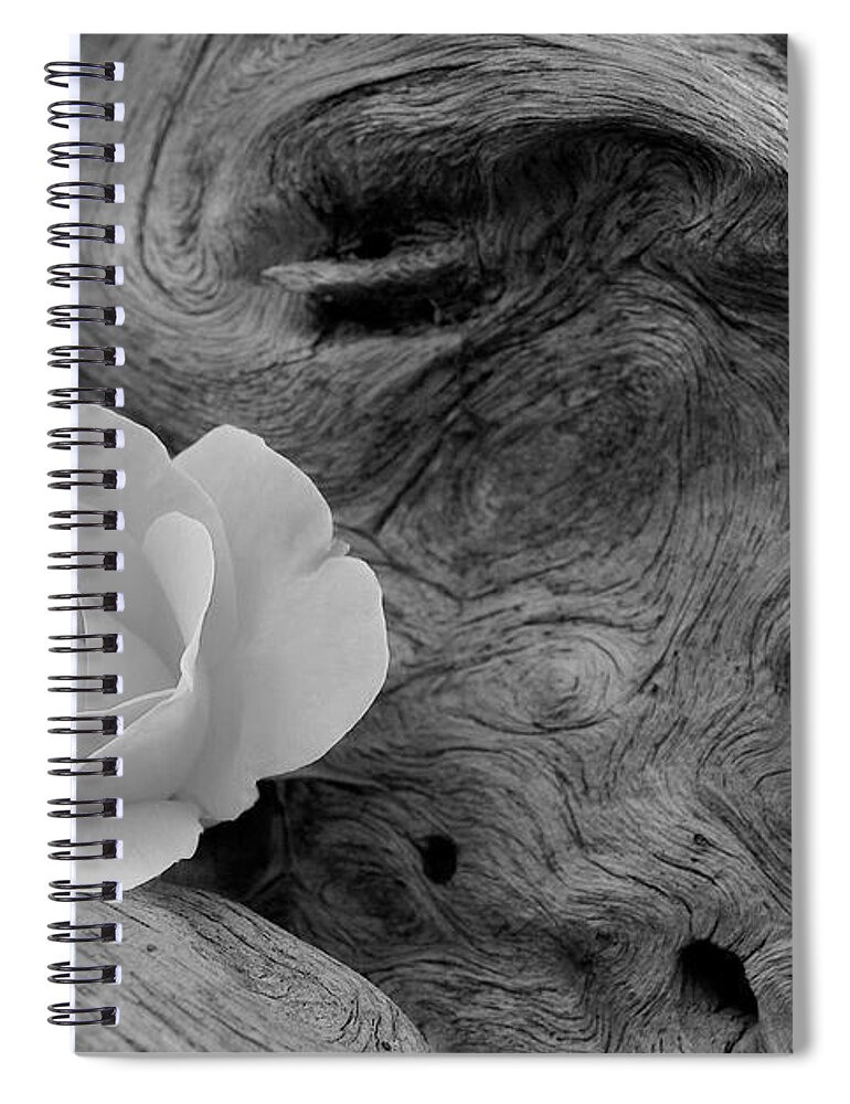 Flower Spiral Notebook featuring the photograph Driftwood and Roses by Michael Peychich