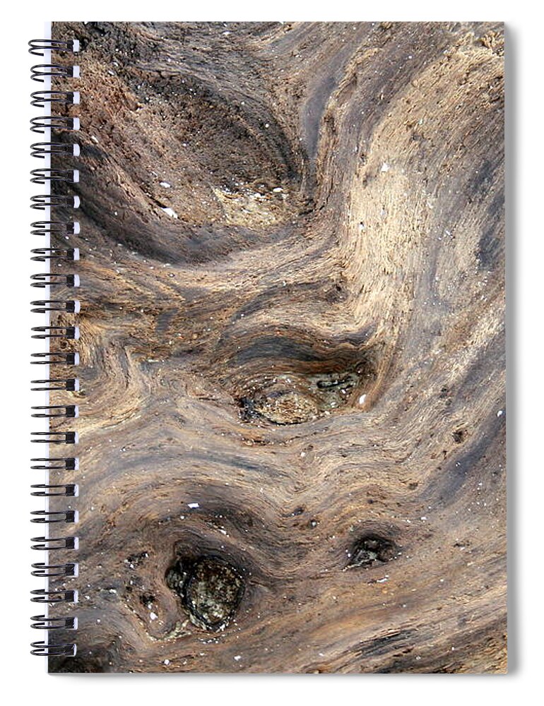 Horizontal Spiral Notebook featuring the photograph Driftwood and Stone by Valerie Collins