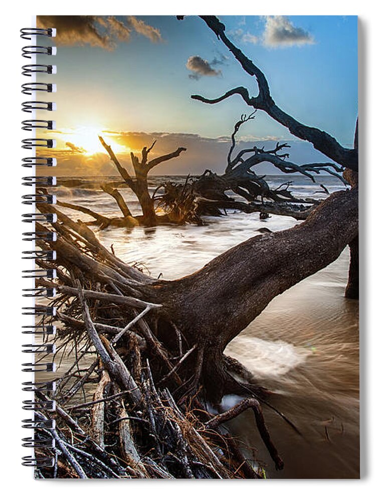 Landscape Spiral Notebook featuring the photograph Driftwood Beach 7 by Dillon Kalkhurst