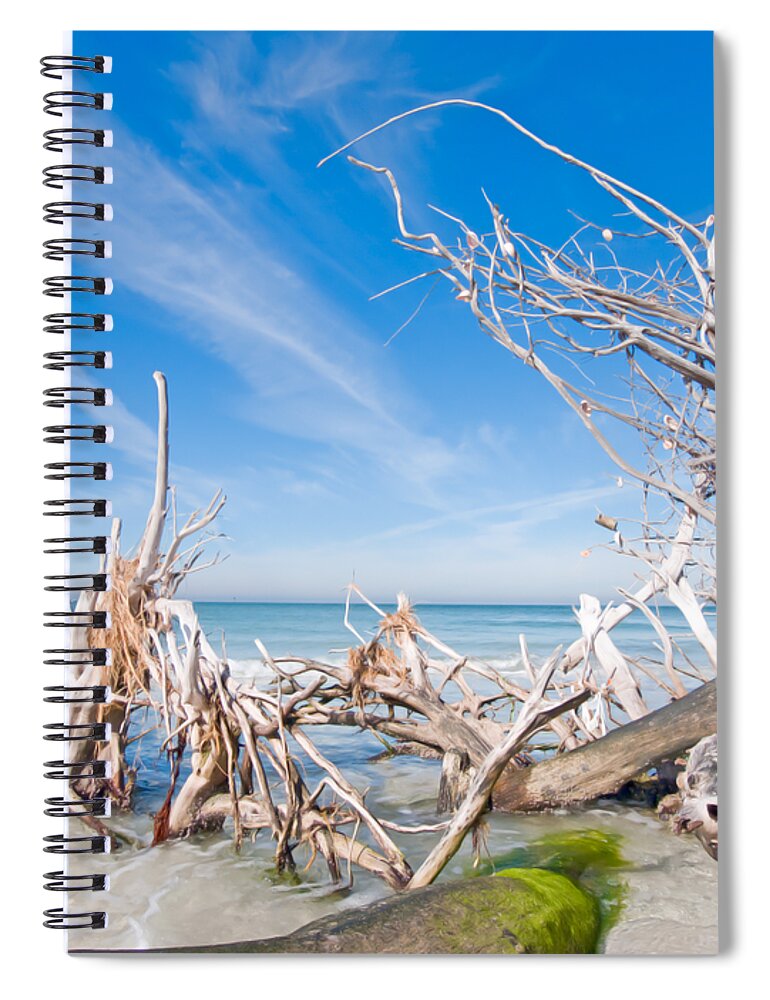Driftwood Spiral Notebook featuring the photograph Driftwood C141348 by Rolf Bertram