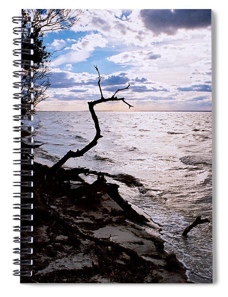Barnegat Spiral Notebook featuring the photograph Driftwood Dragon-Barnegat Bay by Steve Karol