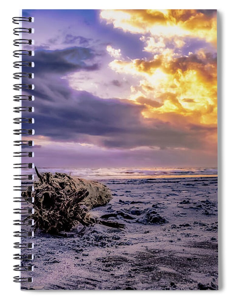Driftwood Spiral Notebook featuring the photograph Driftwood Morning by Joseph Desiderio