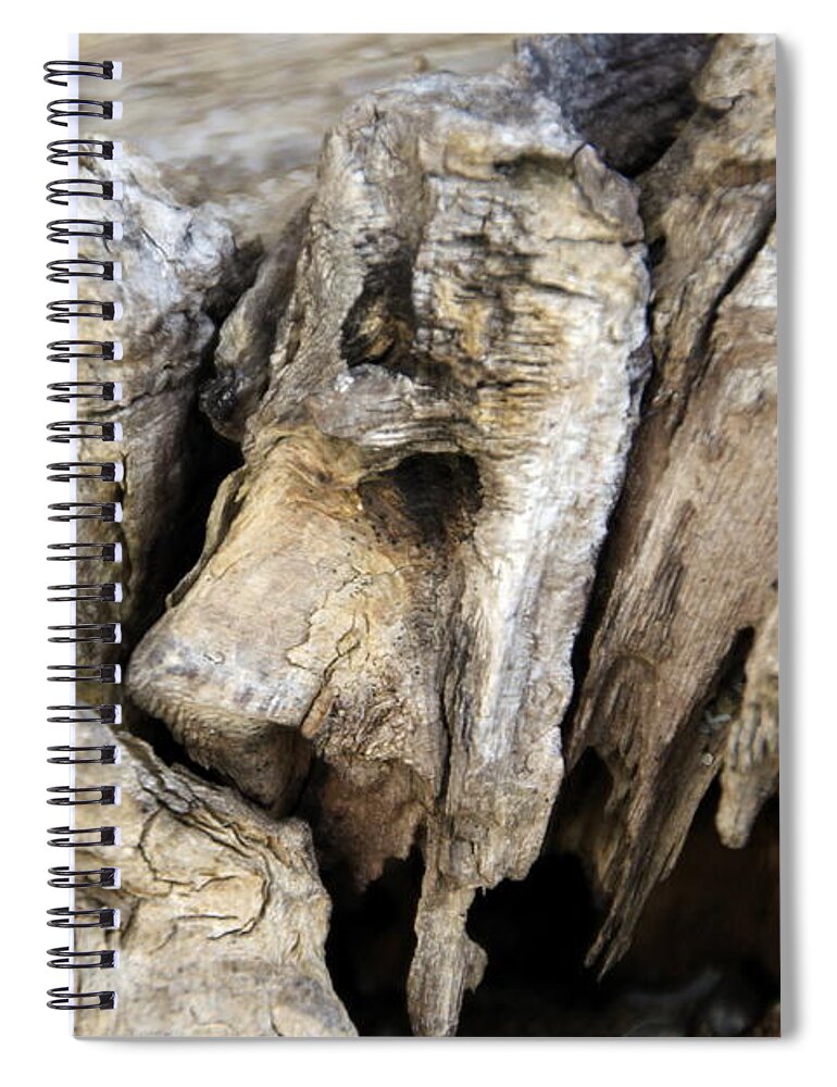 Horizontal Spiral Notebook featuring the photograph Driftwood Nature's Art by Valerie Collins