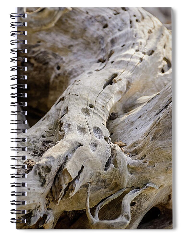 Driftwood Spiral Notebook featuring the photograph Driftwood on the Beach by Robert Mitchell