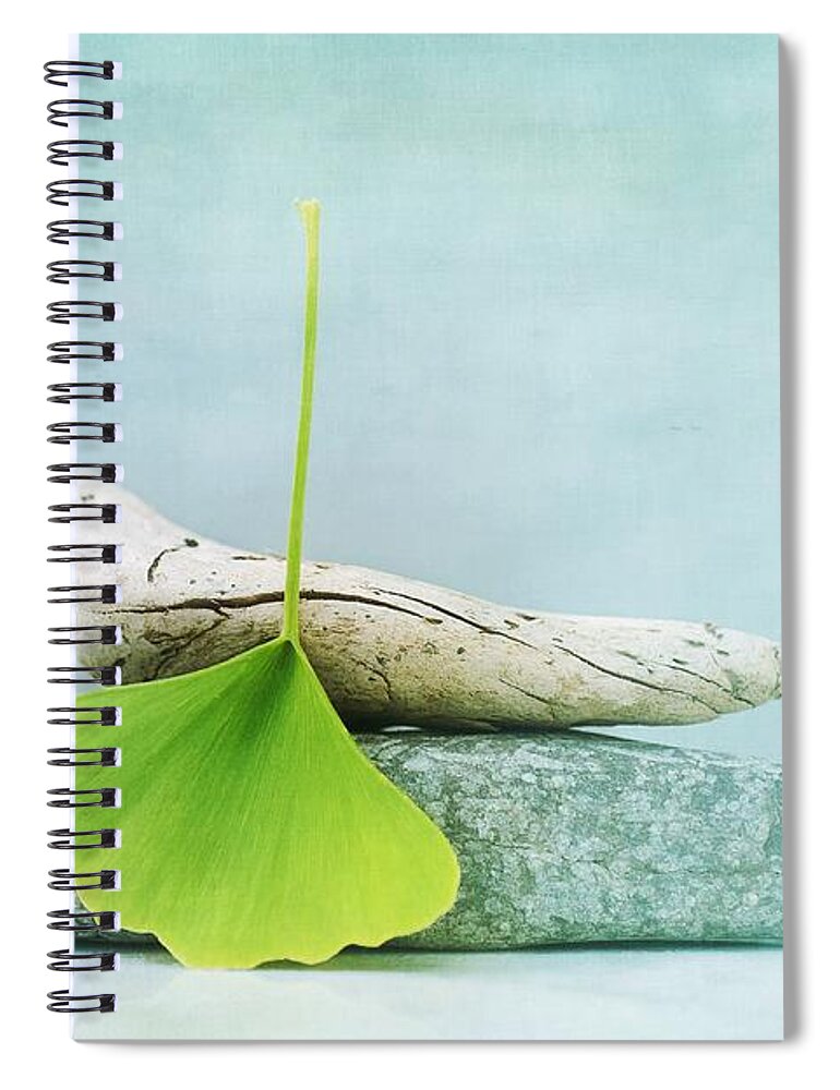 Leaf Spiral Notebook featuring the photograph Driftwood Stones And A Gingko Leaf by Priska Wettstein
