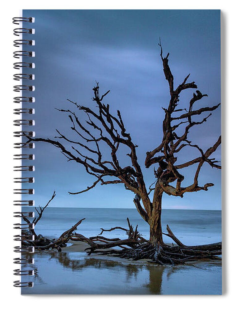 Driftwood Spiral Notebook featuring the photograph Driftwood Tree by Fran Gallogly