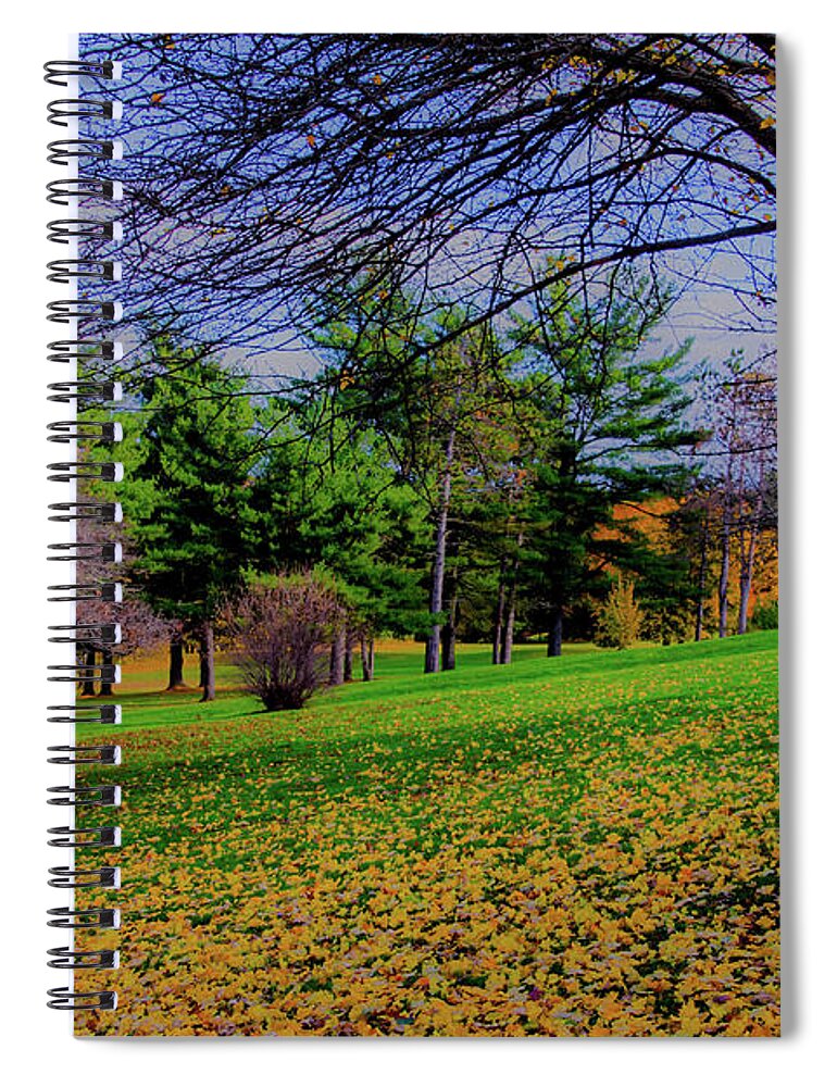 Autumn Spiral Notebook featuring the photograph Drop Site by William Norton