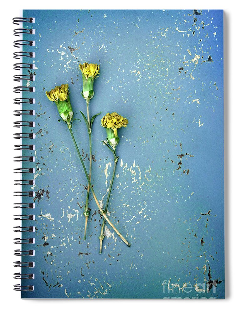 Flowers Spiral Notebook featuring the photograph Dry Flowers on Blue by Jill Battaglia