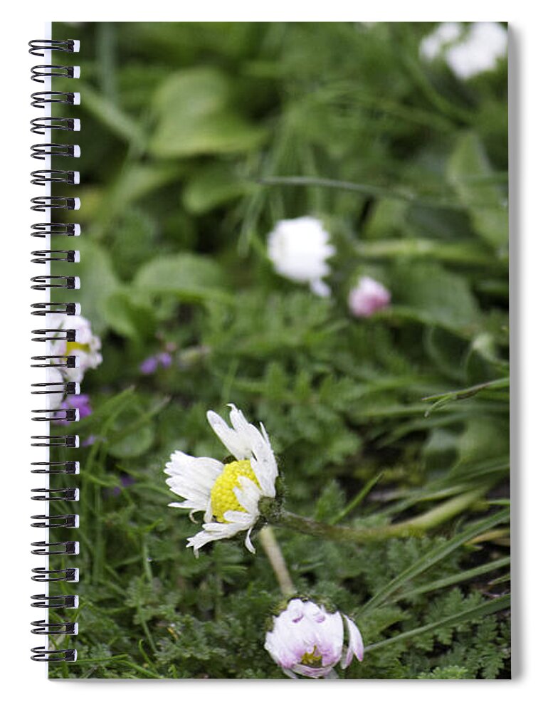 Duck Ecosystem Grasses Spiral Notebook featuring the photograph Duck Ecosystem Floral 2 by Donna L Munro