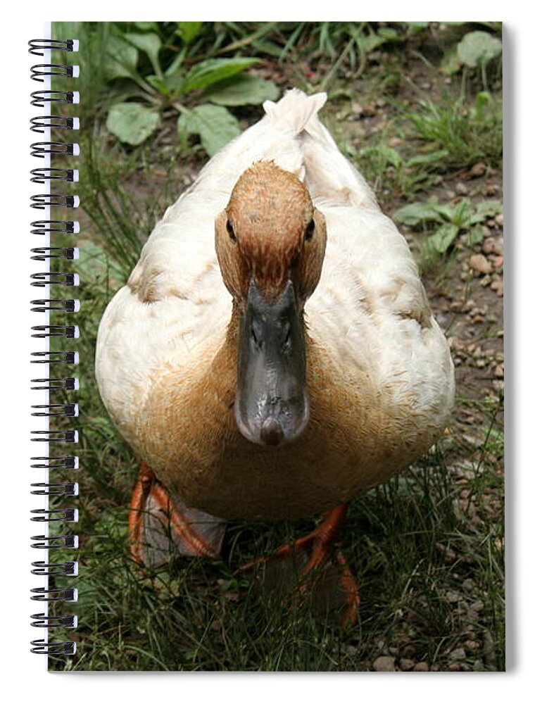 Duck Spiral Notebook featuring the photograph Duck waiting for a treat by Valerie Collins