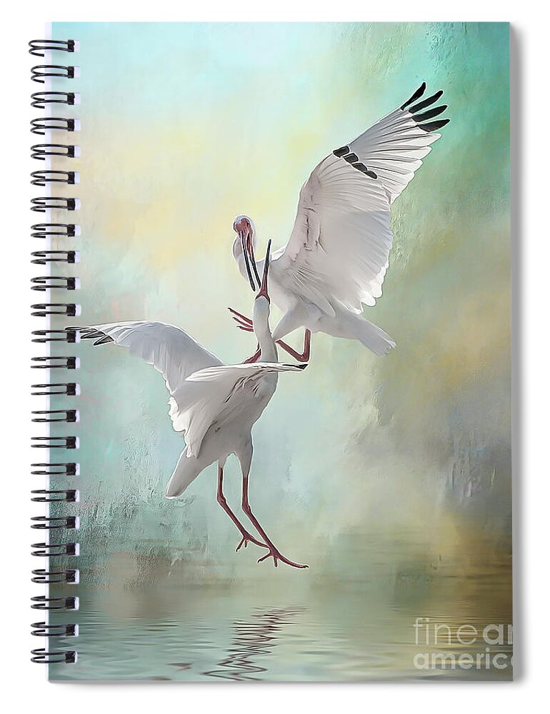 Ibises Spiral Notebook featuring the photograph Duelling White Ibises by Brian Tarr
