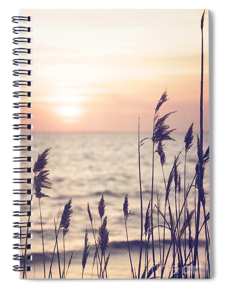 Dune Grass Spiral Notebook featuring the photograph Dune Grass in the Sunset by Debra Fedchin