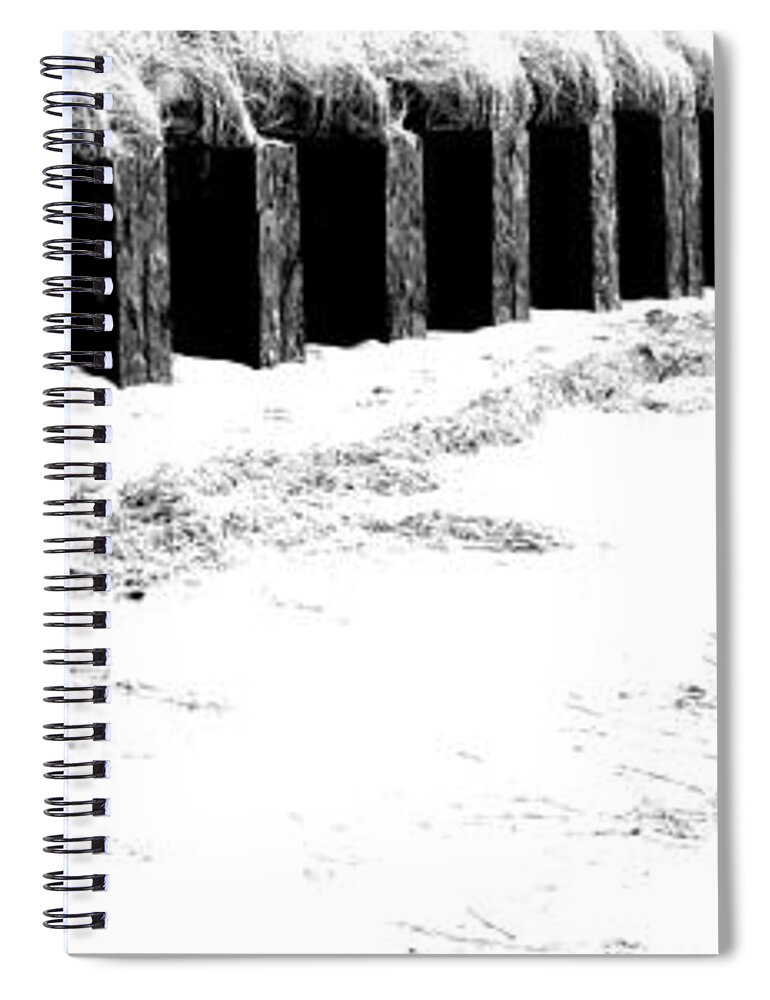 Marcia Lee Jones Spiral Notebook featuring the photograph Dune Protection by Marcia Lee Jones