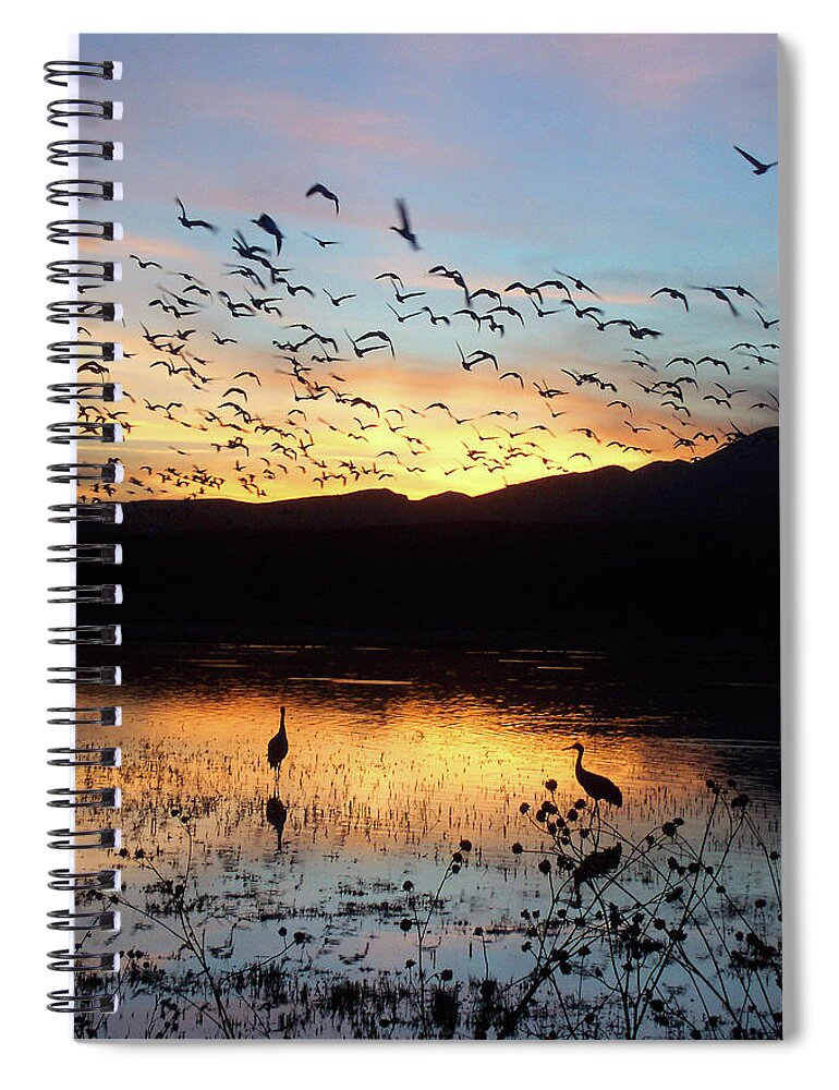 Water Spiral Notebook featuring the photograph Dusk at Bosque del Apache by Jerry Griffin