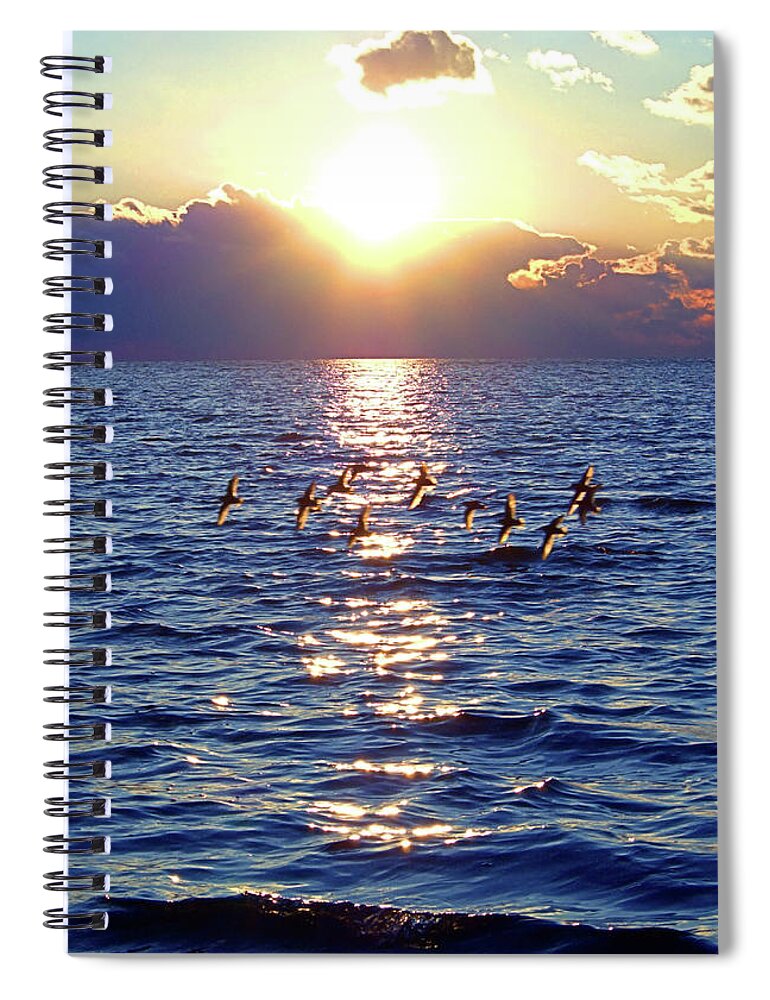 Piping Plover Spiral Notebook featuring the photograph Dusk I I I by Newwwman