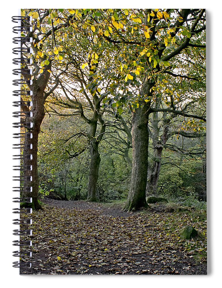 Autumn Spiral Notebook featuring the photograph Dusk in the autumn woods. by Elena Perelman