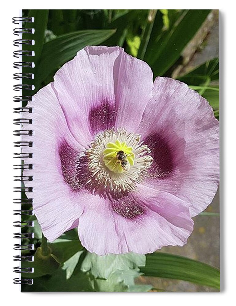 Animals Spiral Notebook featuring the photograph Dusty Little Bee by Rowena Tutty
