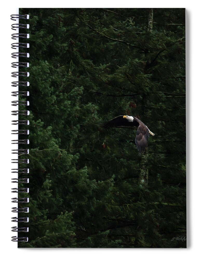 Eagle In His Flight Spiral Notebook featuring the photograph Eagle In His Flight - Birds of Prey Art by Jordan Blackstone