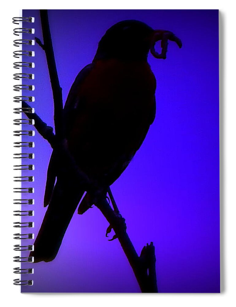 Silhouettes Spiral Notebook featuring the photograph Early Bird Gets The Worm by Kimberly Woyak