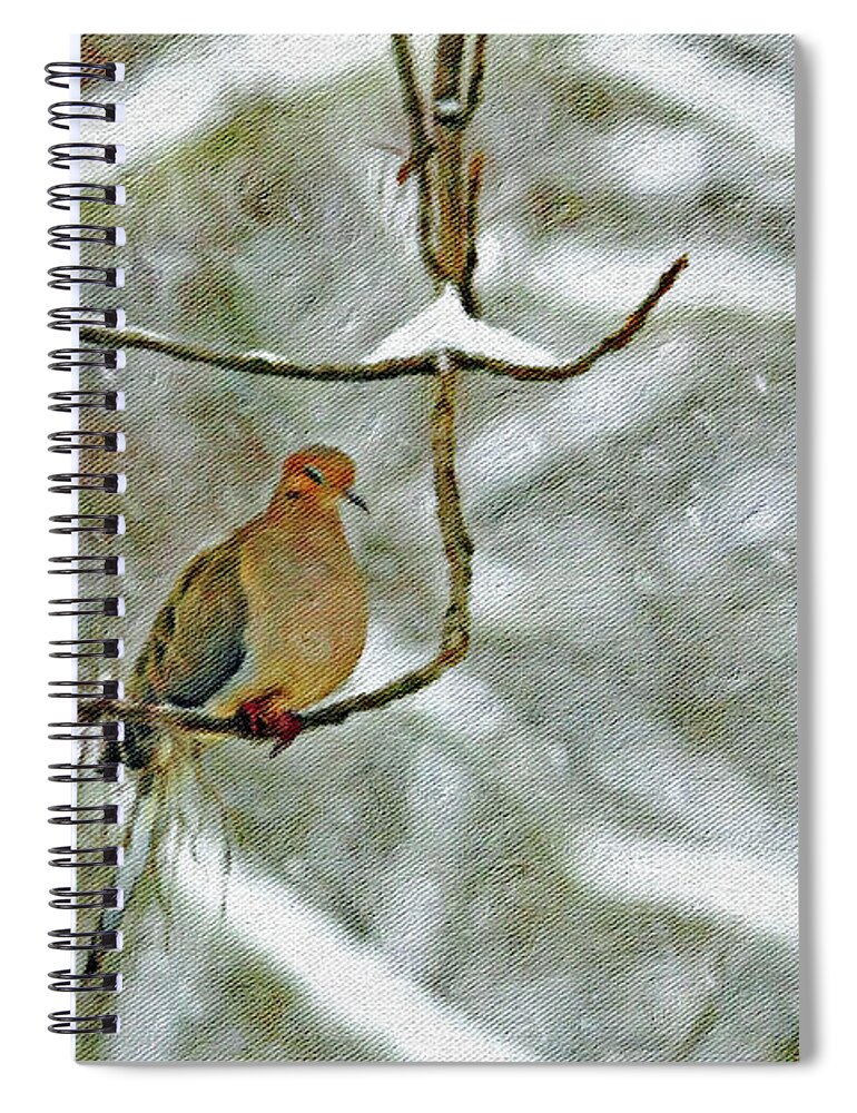 Snow Spiral Notebook featuring the photograph Early One Snowy Morning by Diane Lindon Coy