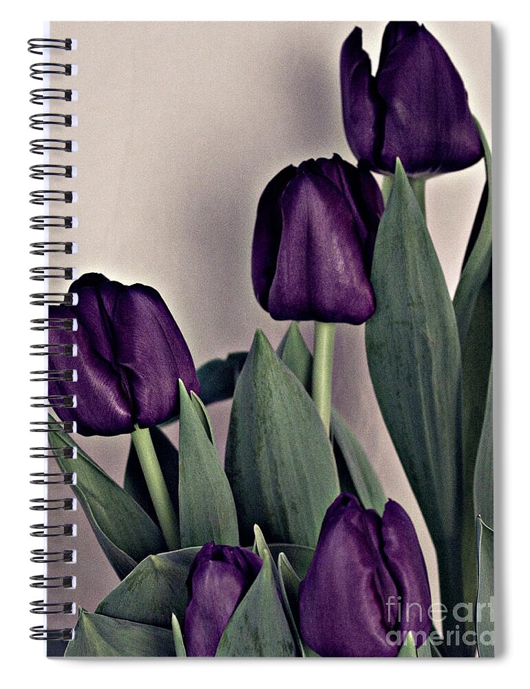 Flowers Spiral Notebook featuring the photograph A Display of Tulips by Sherry Hallemeier