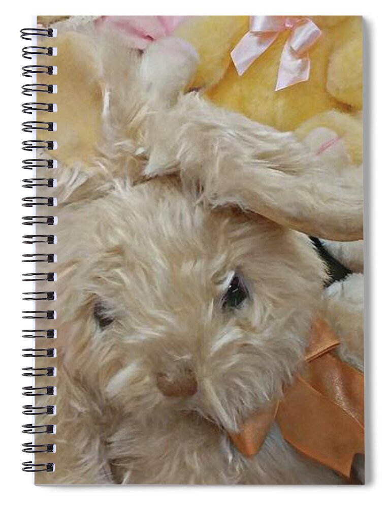 Easter Spiral Notebook featuring the photograph Easter Bunnies by Benanne Stiens