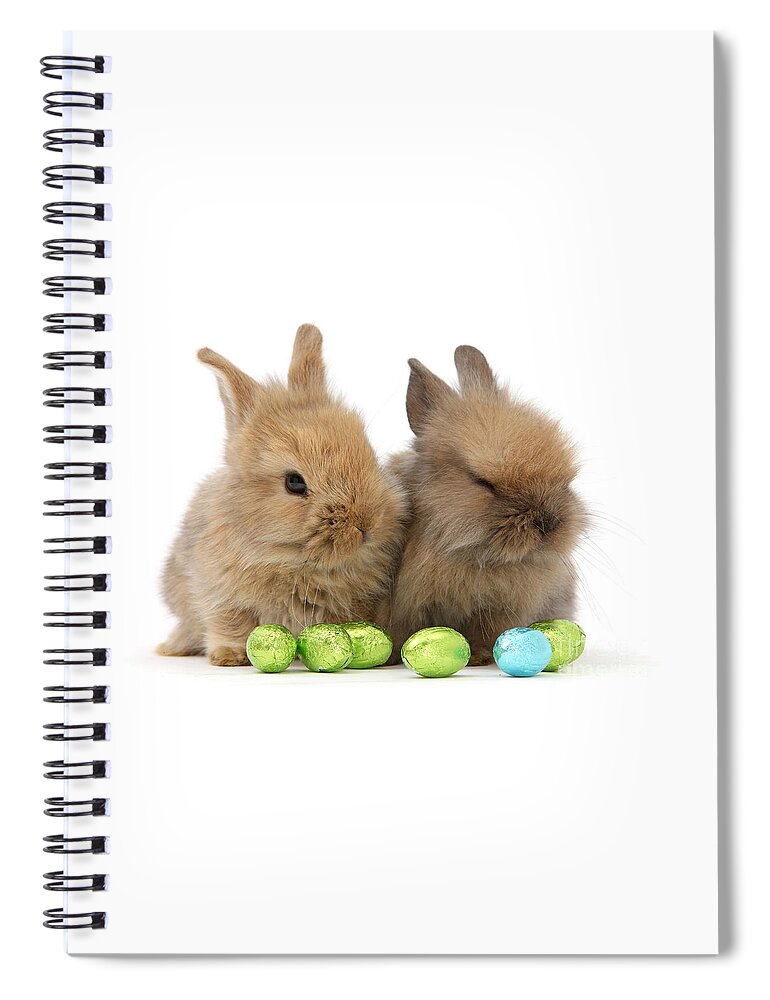 Two Spiral Notebook featuring the photograph Easter Bunny Pair by Warren Photographic