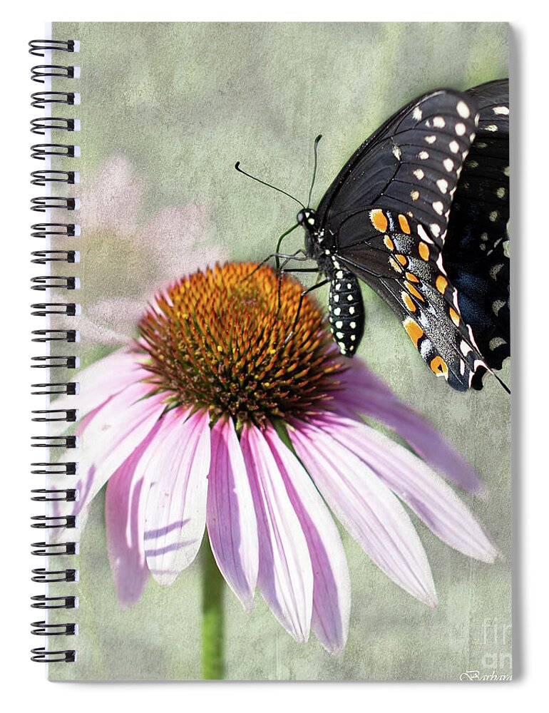 Easter Black Swallowtail Spiral Notebook featuring the photograph Eastern Black Swallowtail and Echinacea by Barbara McMahon