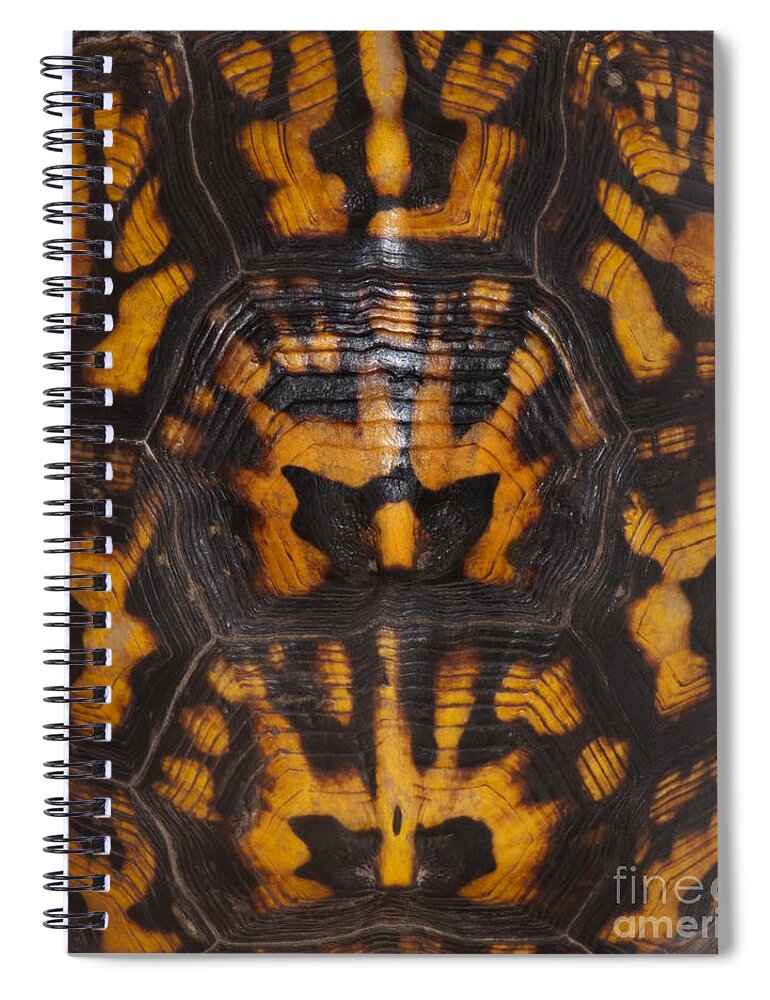 Reptile Spiral Notebook featuring the photograph Eastern Box Turtle, Shell Pattern by Scott Camazine