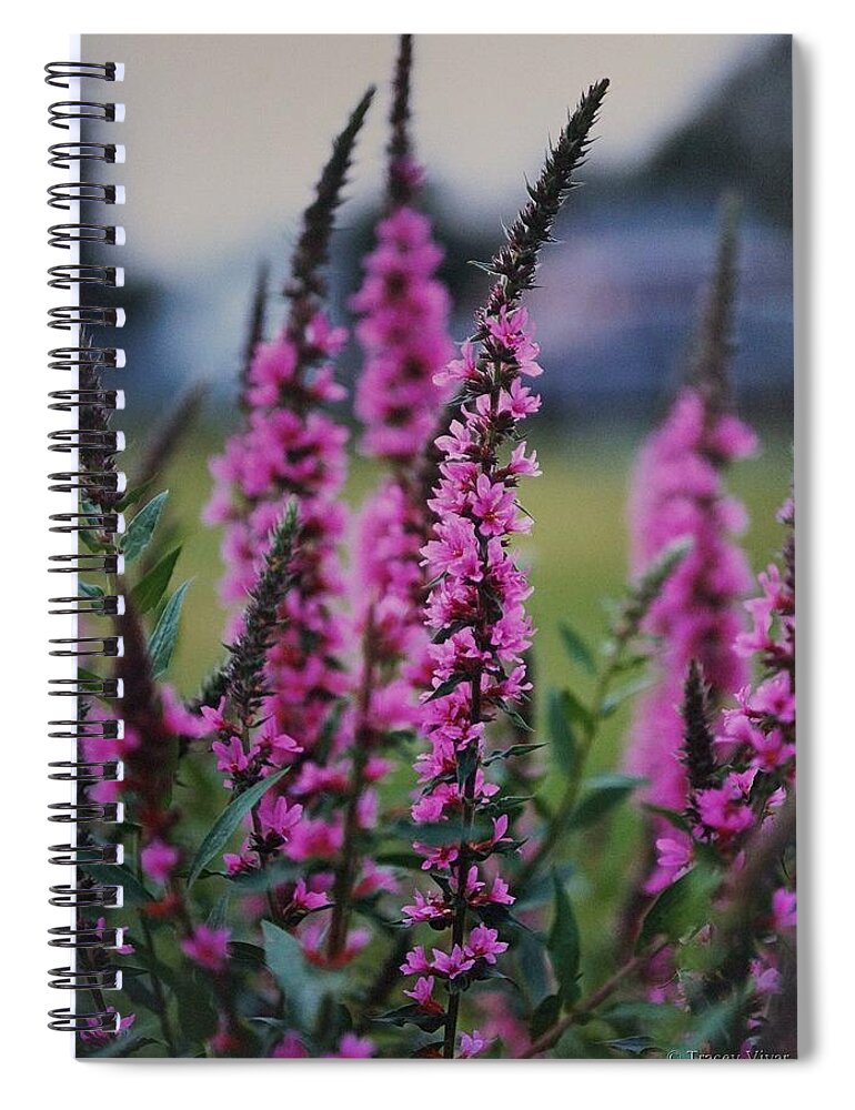 Floral Spiral Notebook featuring the photograph Eastern Gay Feather by Tracey Vivar