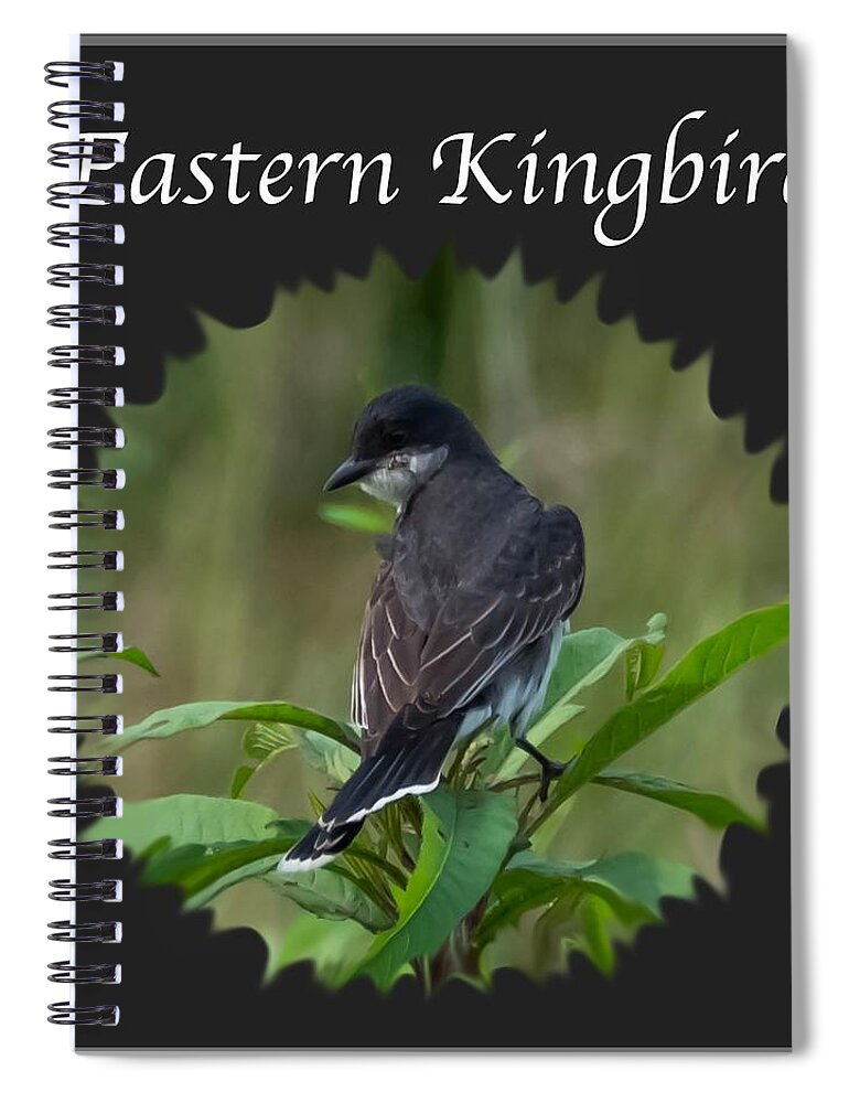 Eastern Kingbird Spiral Notebook featuring the photograph Eastern Kingbird by Holden The Moment